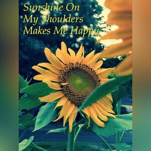 🎶 Sunshine 🌞 on my shoulders makes me happy 🎶